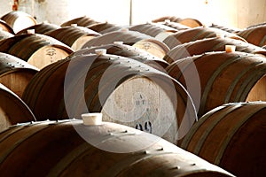 Photo of historical wine barrels in cellar