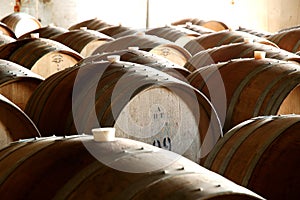 Photo of historical wine barrels in cellar photo