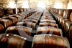 Photo of historical wine barrels in a row