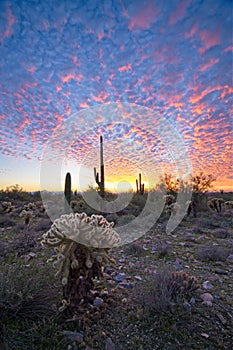 Sunset in the Mackerel Sky of Arizona