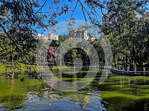 Photo of the largest and most beautiful park in the city of Belo Horizonte.