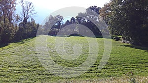 Photo of lawn, nature in mels switzerland