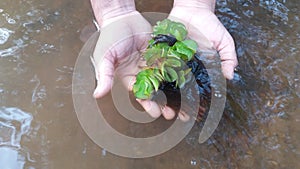 Photo of laying hands on river water