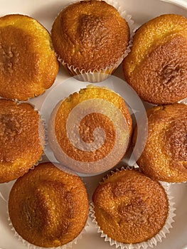Lemon Cupcakes Fresh From the Oven