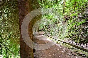 Photo of levada dos balcoes in Madeira Island