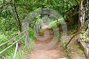 Photo of levada path in Madeira Island