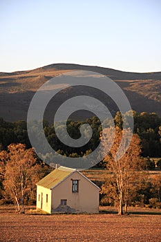 Photo of a little green roof house on a farm late afternoon. 