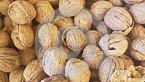 Lots of inshell walnuts texture