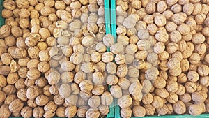 Lots of inshell walnuts texture