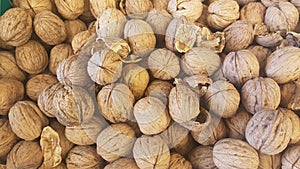 Lots of inshell walnuts texture