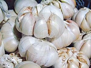 Photo of lots of garlic placed