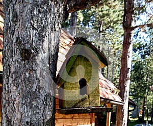 Small bird house by the cottage in the wood