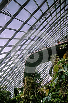 A photo of magnificient Cloud Forest, Singapore.