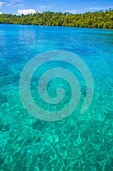 Photo of Man Driving Natural Wood Long Tail Boat Caribbean Ocean. Clear water and blue sky with clouds. Vertical.