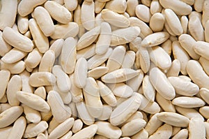 Photo of many white beans