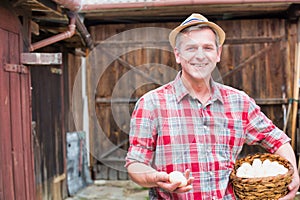 Mature farmer wearing hat while carrying fresh eggs in basket at barn photo