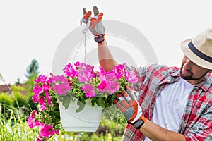 Portrait of mature gardener examining flowers on a pot in shop