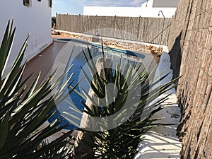 Photo a menorca island and the garden photo