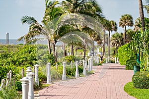 Photo Miami Beach boardwalk lines with palm trees