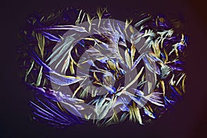 Colorful micro crystals in polarized light