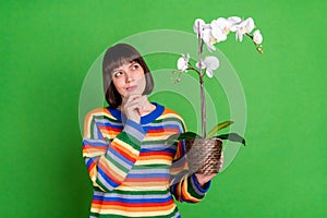 Photo of minded young thoughtful woman look empty space hold hand pot plant orchid isolated on green color background