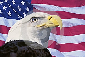 Photo montage: American flag and bald eagle