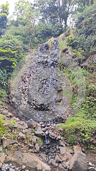 Photo of mossy cliffs due to water seepage