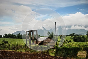 Photo of a mountain, little hut, landscape, outdoor garden, trees, grass, flowers for commercial purposes