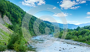 Photo of mountain river with green misty thick Carpathian forest at summer day in mountains