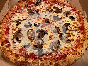 Mushroom and Cheese Pizza Carryout photo