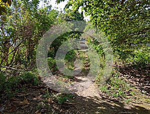 A photo of a natural landscape taken on a road in Indonesia called Jalan Tani