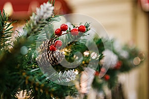 Photo of New Year branch of fir tree with cones, red berries