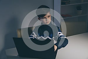 Photo of nice boy in sweater sitting infront of the computer doing homework.