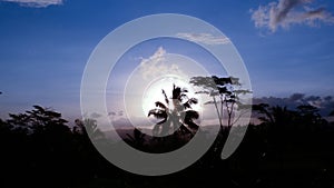 photo of the night view of the rice fields