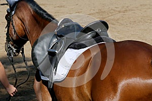 Photo of old leather saddle with stirrups