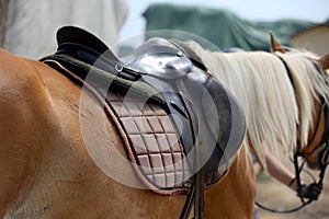 Photo of old leather saddle with stirrups