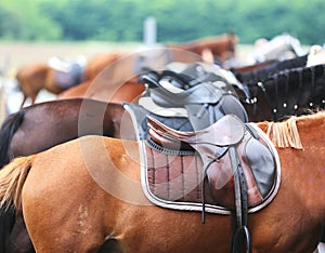 Photo of old leather saddle with stirrups