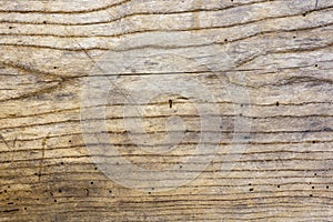 Photo of old oak wood texture with grooves and holes from the worm