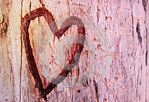 Photo of old tree trunk with heart carved on it. Valentine& x27;s day concept. Romantic background.