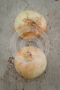 Photo of onoins on a wooden board