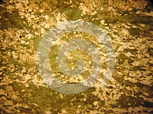 photo of the optical mineralogy and thin section microscopy of petrography