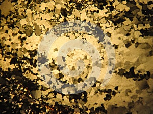 photo of the optical mineralogy and thin section microscopy of petrography