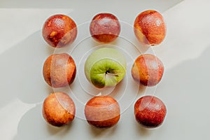 Photo orange oranges and tangerines spread out on a white background, vitamins, food, bright background