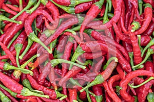 Photo with organic red chili peppers.