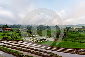 A Photo Overlooking Terraced Rice Fields