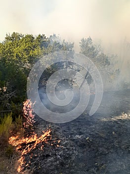 Photo of Parmer Lane brush fire moving photo