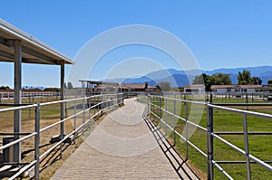 Path between paddocks on a ranch