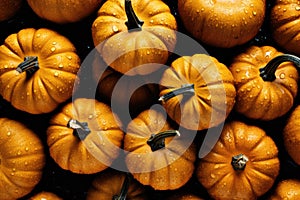 Photo Pattern Background of pumpkins