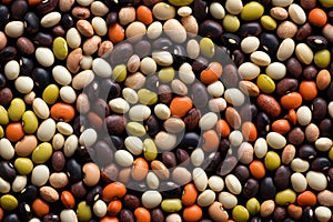 Photo Pattern of Pulses