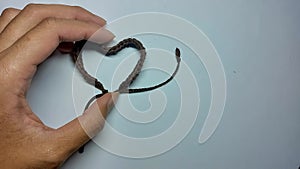 a photo of a person holding a heart-shaped brown bracelet